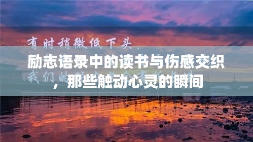 励志语录中的读书与伤感交织，那些触动心灵的瞬间