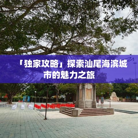 「独家攻略」探索汕尾海滨城市的魅力之旅