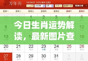 今日生肖运势解读，最新图片查询，掌握生肖排行与运势变化