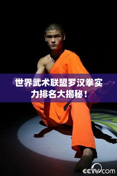 世界武术联盟罗汉拳实力排名大揭秘！
