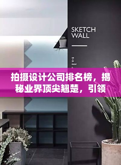 拍摄设计公司排名榜，揭秘业界顶尖翘楚，引领视觉创意潮流！