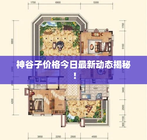 神谷子价格今日最新动态揭秘！