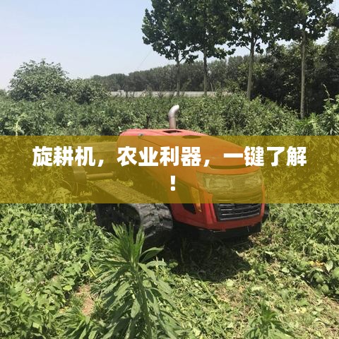 旋耕机，农业利器，一键了解！